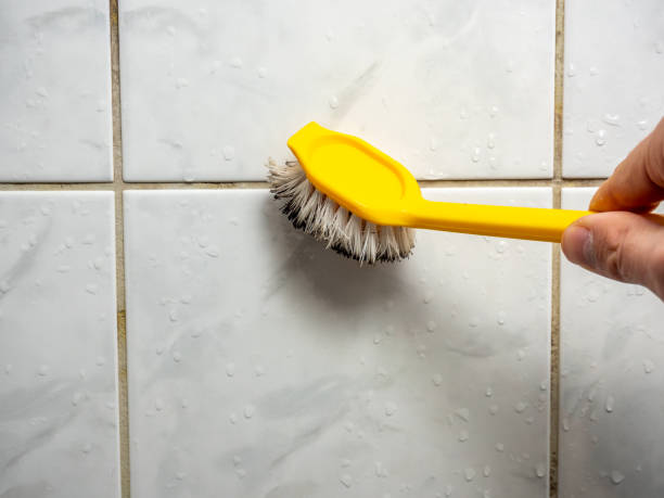 Office Mold Removal Services in Boiling Springs, PA